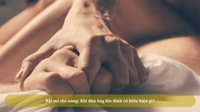 Khi dan ong len dinh co bieu hien gi